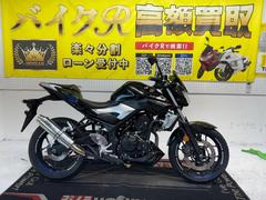 ヤマハ　ＭＴ−２５　ＲＧ１０Ｊ型　２０１５年モデル　ｗｒ’ｓ製サイレンサー　社外バーエンド　社外スクリーン　その他改造有り