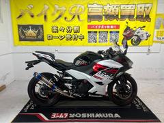 カワサキ　Ｎｉｎｊａ　２５０　ＥＸ２５０Ｐ型　２０１９年モデル　スリップオンマフラー　エンジンスライダー　社外レバー