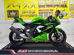 カワサキ　Ｎｉｎｊａ　２５０ＳＬ　ＢＸ２５０Ａ型　２０１５年モデル　社外スクリーン　ＬＥＤライト　サイドスタンド