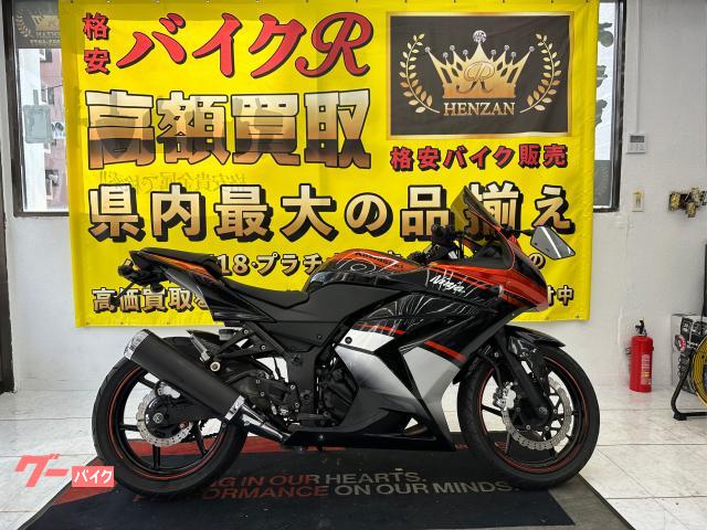 Ｎｉｎｊａ　２５０Ｒ　ＥＸ　２５０Ｋ型　２０１２年モデル　スモークスクリーン　スモークウィンカー　フェンダーレス　社外チェーンカバ