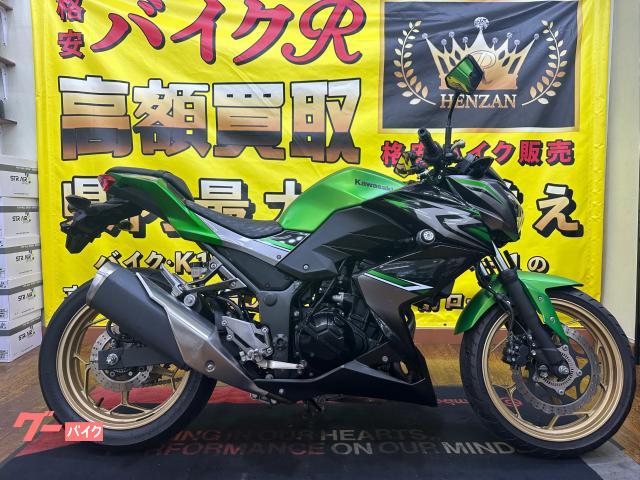 カワサキ（KAWASAKI）1995年 Ninja ZX-9R・カラーチェンジのカタログ