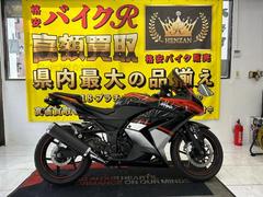 カワサキ　Ｎｉｎｊａ　２５０Ｒ　ＥＸ　２５０Ｋ型　２０１２年モデル　スモークスクリーン　スモークウィンカー　フェンダーレス　社外チェーンカバ