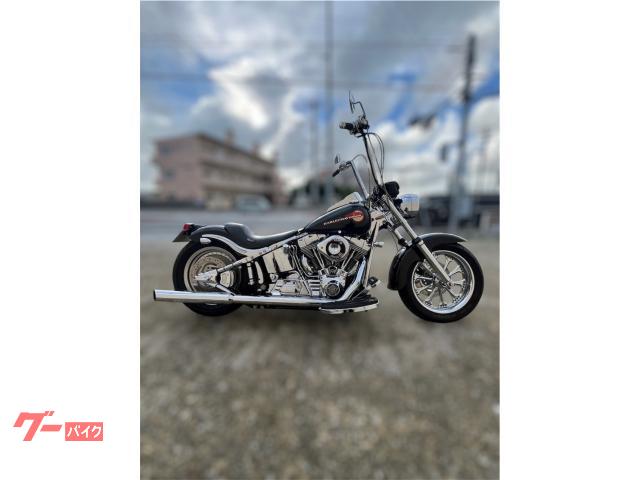 ＨＡＲＬＥＹ−ＤＡＶＩＤＳＯＮ　ＦＬＳＴＦ　ファットボーイ　カスタム多数　ＳＡＭＳＯＮ左右二本立ちマフラー／スイングアームカバー　委託車