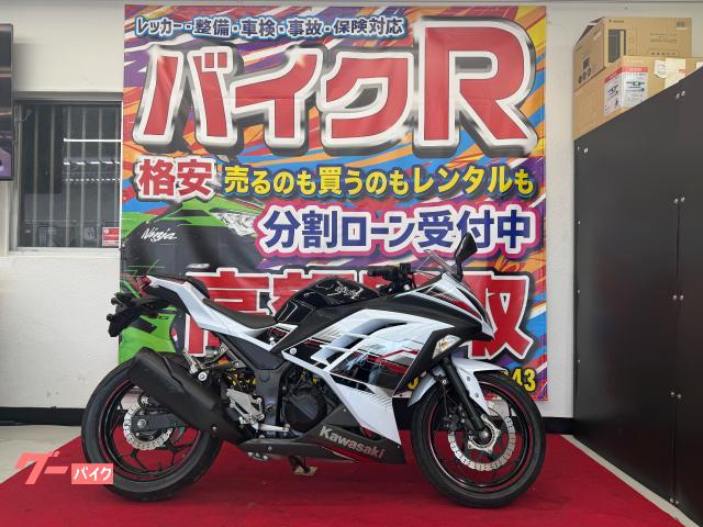 Ｎｉｎｊａ　２５０　ＥＸ２５０Ｌ型　２０１４年モデル　ＡＢＳ付き　サイドスタンド