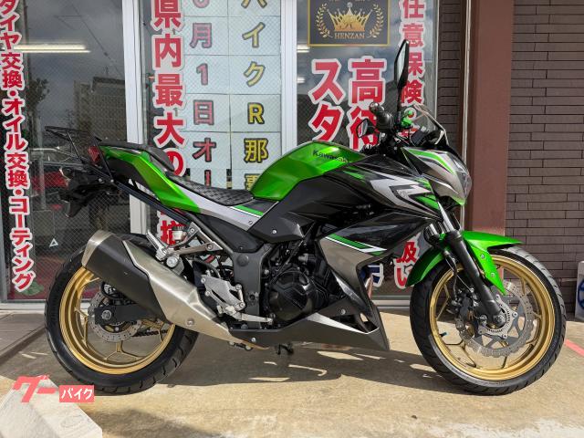 Ｚ２５０　ＥＲ２５０Ｃ型　２０１７年モデル　リアキャリア　シフトインジケーター　ヘルメットホルダー　スペアキー