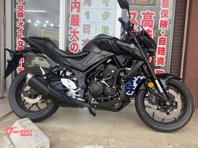 ヤマハ（YAMAHA）1999年 XV1600 Road Starのカタログ情報 | 沖縄の