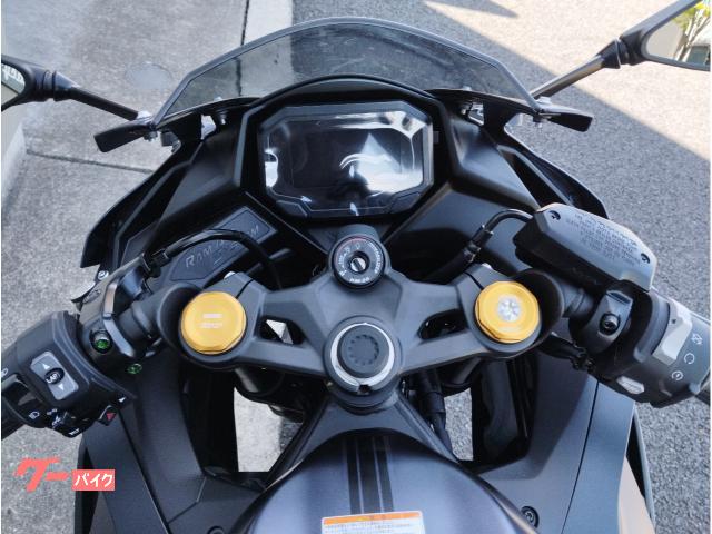 下田光 限定300立体作品 2021 即完売 下田光 限定300立体作品 2021 即