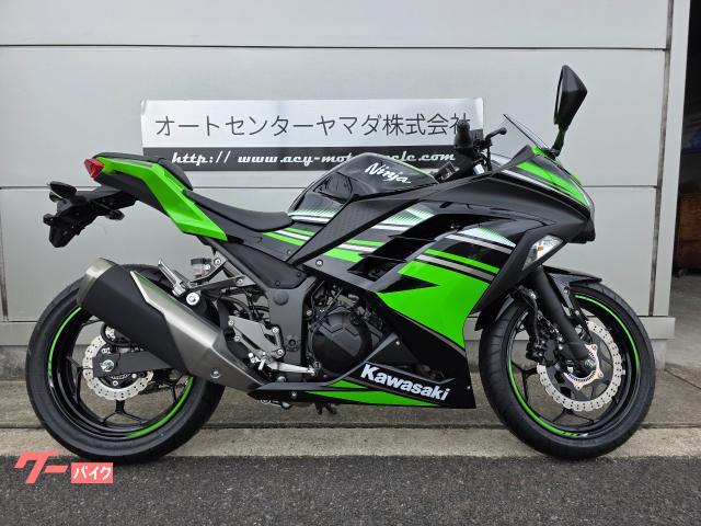 Ｎｉｎｊａ　２５０　ＥＸ２５０Ｌモデル