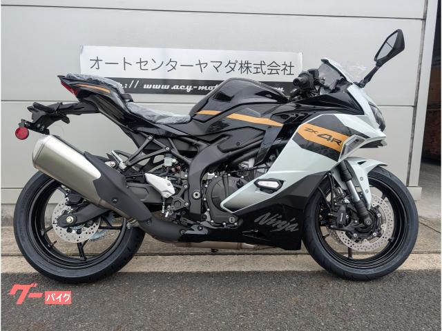 Ｎｉｎｊａ　ＺＸ−４Ｒ　ＳＥ