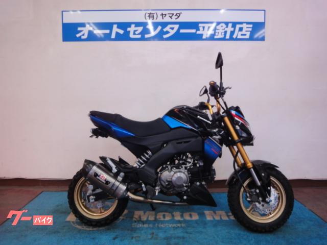 Ｚ１２５ＰＲＯ　ＳＥ