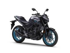 ヤマハ　ＭＴ−０３（３２０ｃｃ）