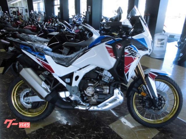 ＣＲＦ１１００Ｌ　Ａｆｒｉｃａ　Ｔｗｉｎ　ＡｄｖｅｎｔｕｒｅＳｐｏｒｔｓ　ＥＳ　ＤＣＴ