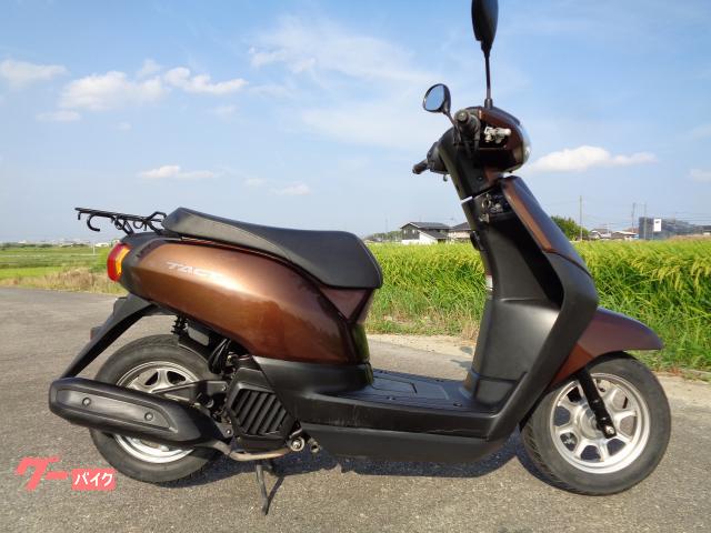 タクト　ＡＦ７５　茶Ｍ