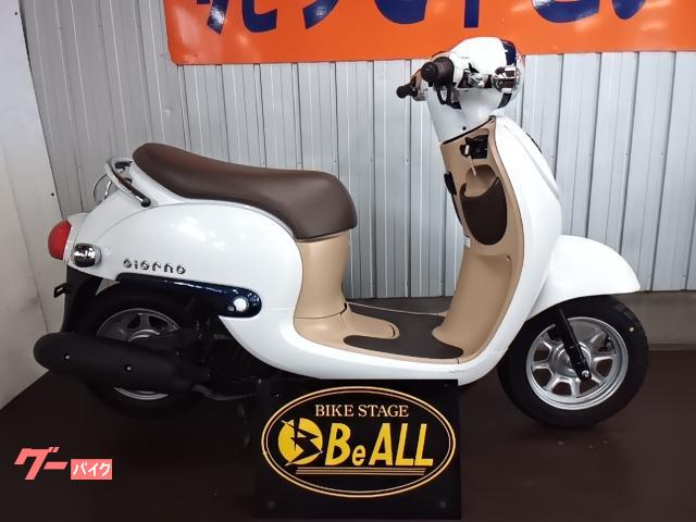 ジョルノインジェクション・ドライブベルト新品