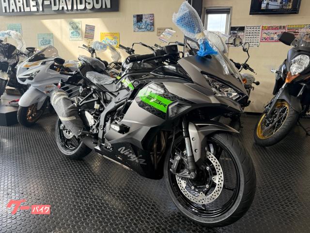 Ｎｉｎｊａ　ＺＸ−２５Ｒ　ＳＥ