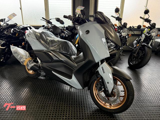 Ｘ−ＭＡＸ２５０