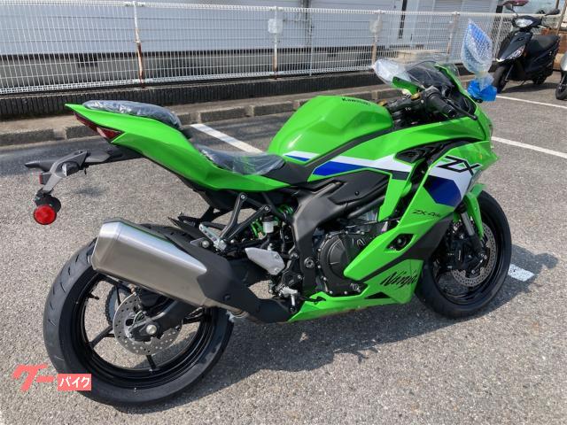 ハンガリー製 緑色 葉っぱ型 カワサキ Ninja ZX－4RR｜ダンガリー半田店｜新車