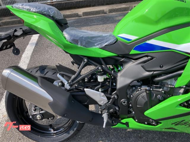ハンガリー製 緑色 葉っぱ型 カワサキ Ninja ZX－4RR｜ダンガリー半田店｜新車