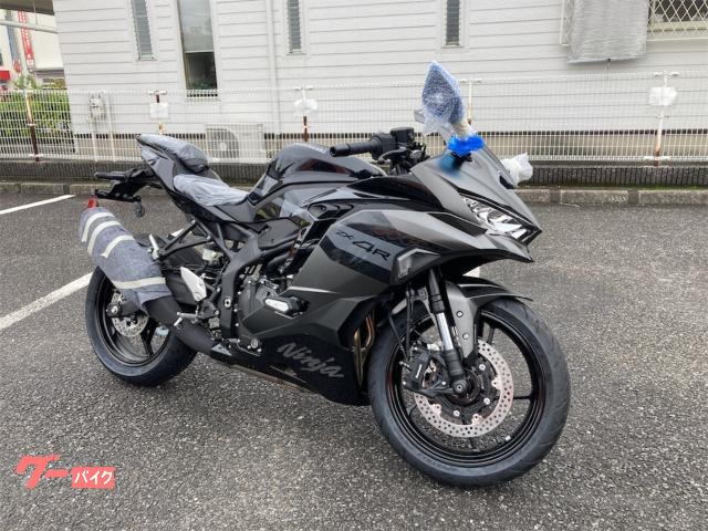 Ｎｉｎｊａ　ＺＸ−４Ｒ　ＳＥ