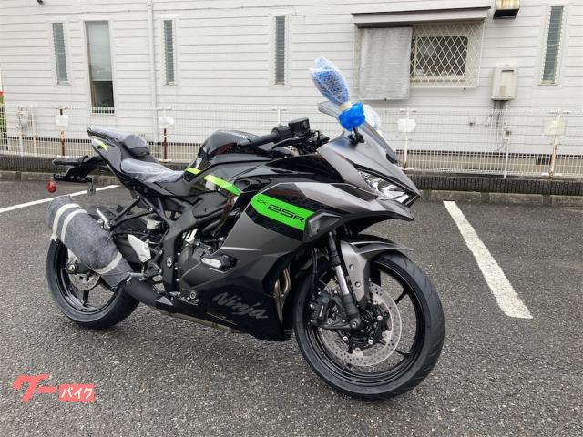 Ｎｉｎｊａ　ＺＸ−２５Ｒ　ＳＥ