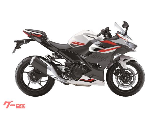 Ｎｉｎｊａ　２５０　２０２７年モデル　ガラス系コーティングワックス塗布済み