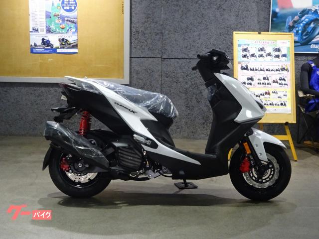 シグナスＸ　２０２６年モデル　新車　ホワイト