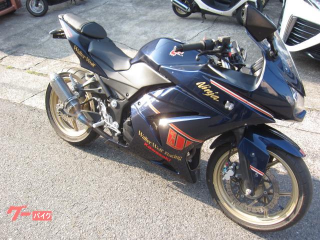 Ｎｉｎｊａ　２５０Ｒ