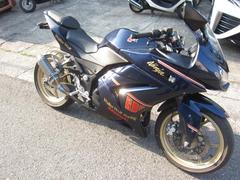 カワサキ　Ｎｉｎｊａ　２５０Ｒ