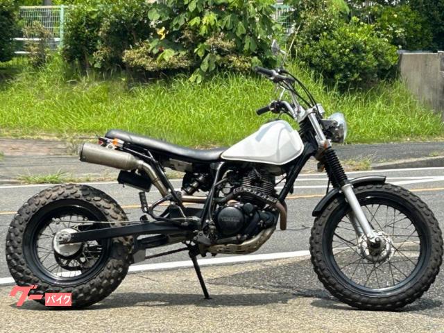 ＴＷ２００　ロンスイ　スカチューン　アップマフラー　フラットフェンダー