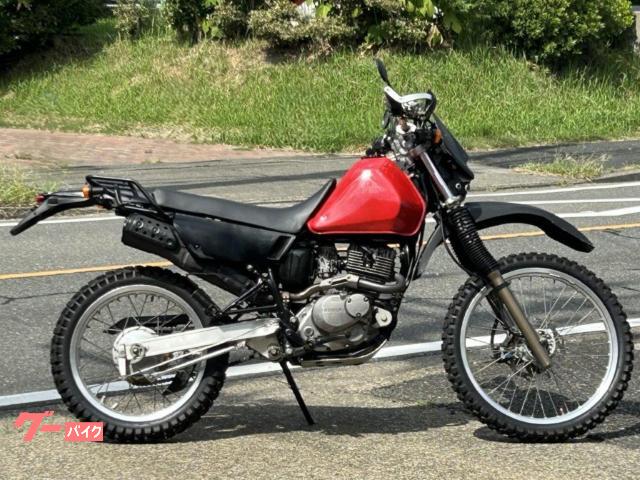 ジェベル２００　ナックルガード　スキッププレート　ウェーブローター