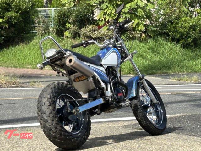 ヤマハ TW225E ロンスイ スカチューン アップマフラー サイド