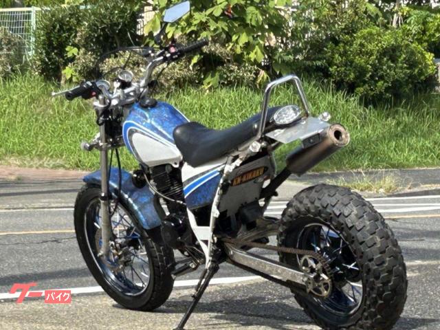 ヤマハ TW225E ロンスイ スカチューン アップマフラー サイド