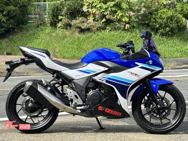 ＧＳＸ２５０Ｒ　スクリーン　レバー　マルチバー　スタンドプレート