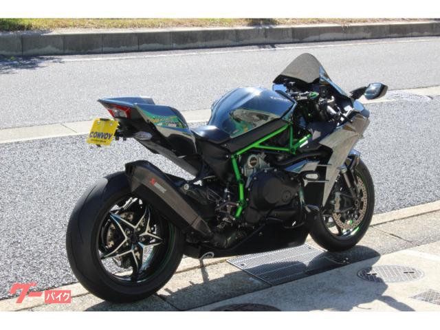 カワサキ Ninja H2 ZEROGRAVITYスクリーン
