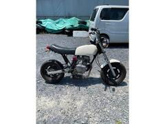 ホンダ　Ａｐｅ