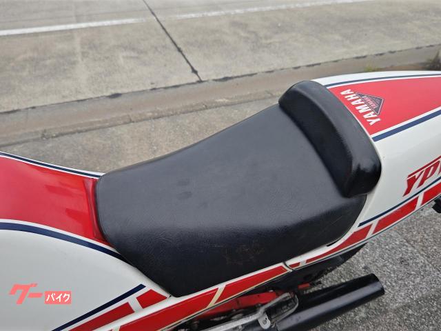 ヤマハ RZ250R 29L 1983年モデル セパハン