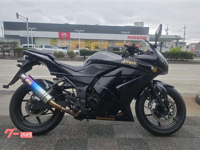 Ｎｉｎｊａ　２５０Ｒ　２０１１年モデル　リアライズ製マフラー　ＵＳＢ電源付き