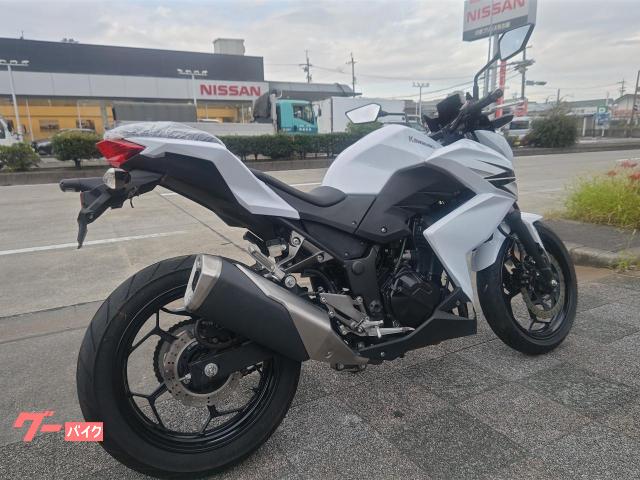 カワサキ Z250 2013年モデル フルノーマル車｜FLAT