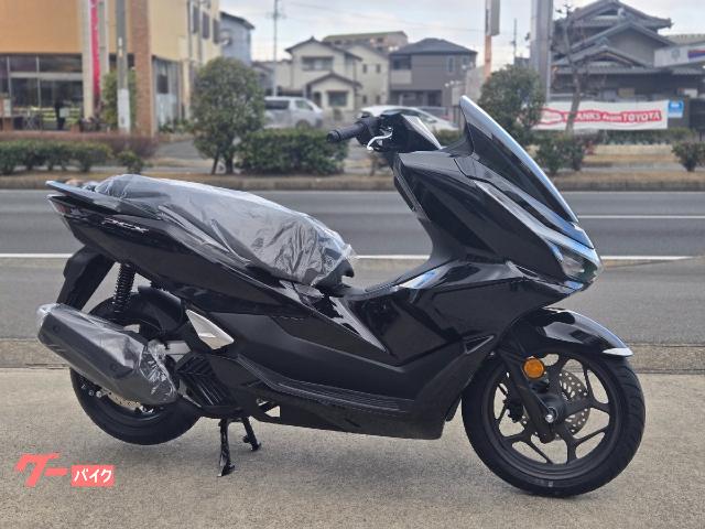 ＰＣＸ　ＡＢＳ　２０２５年モデル　新型　パールマゼラニックブラック　ガラス系コーティング済み