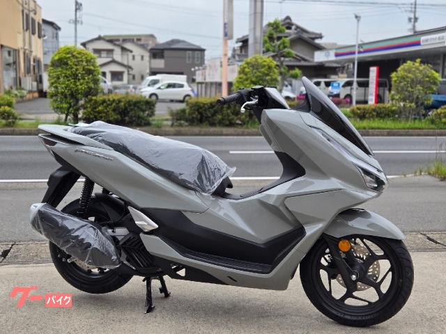 ＰＣＸ１６０　ＡＢＳ　２０２５年　パールガテットグレー　ガラス系コーティング済み