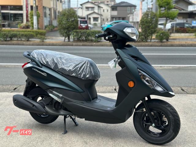 ＡＸＩＳ　Ｚ　２０２５年　マットグリーン　ガラス系コーティング済み