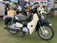 ホンダ　スーパーカブ５０　２０２４年　ガラス系コーティング済み　タスマニアグリーンメタリック