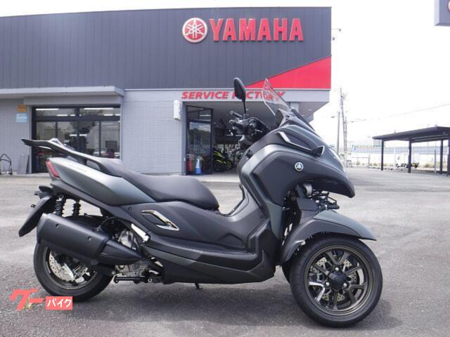 トリシティ３００