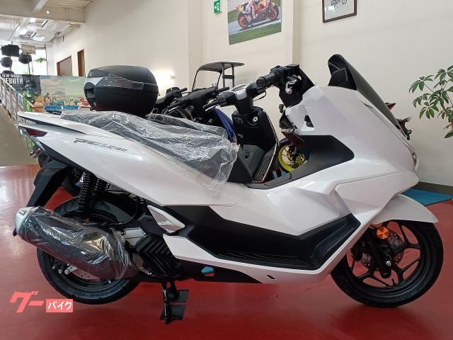 ＰＣＸ１６０　２０２５年モデル　新車