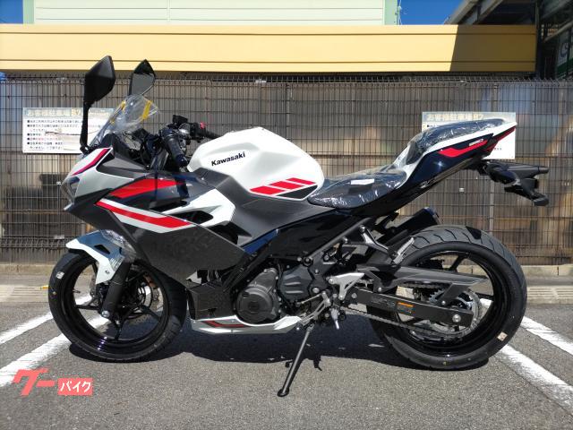Ninja 250