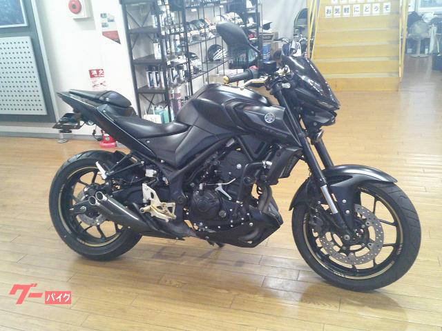 ＭＴ−２５　２０２１年　ＲＧ４３Ｊ　社外マフラー　社外ハンドル　フェンダーレス　バックステップ　　他カスタム有り