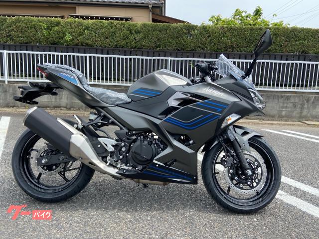 Ｎｉｎｊａ　４００