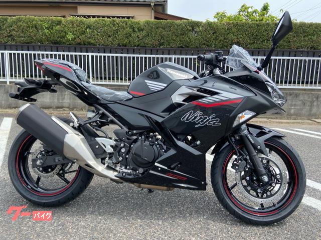 Ｎｉｎｊａ　４００
