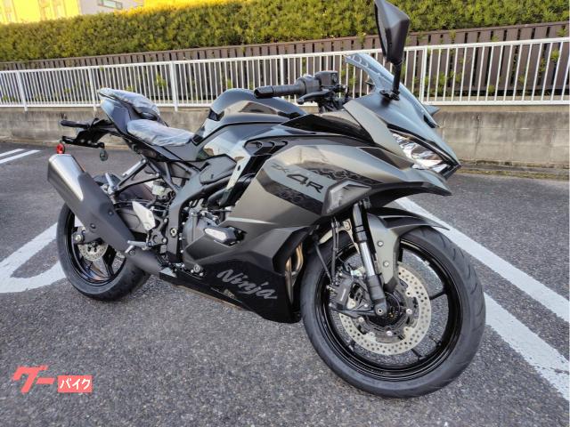 カワサキ Ninja ZX－4R SE ヘルメットロック フレーム