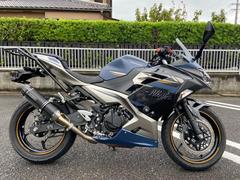 カワサキ　Ｎｉｎｊａ　２５０　　ＥＴＣ２．０　リアキャリア　フレームスライダー　大型スクリーン　レバー　社外マフラー